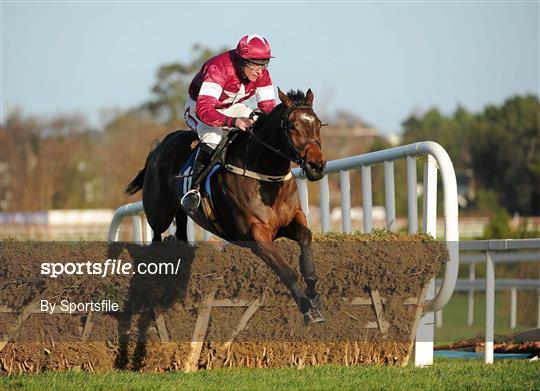 Leopardstown Christmas Racing Festival 2011 - Wednesday 28th December