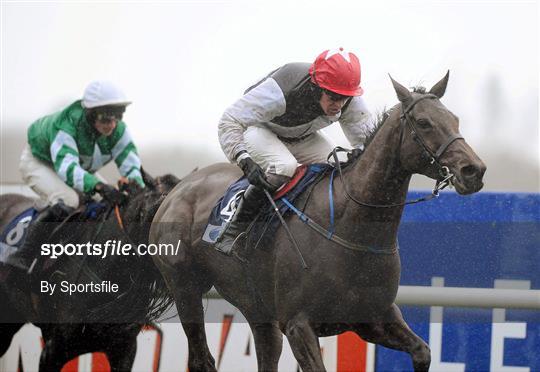 Leopardstown Christmas Racing Festival 2011 - Thursday 29th December