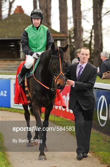 Leopardstown Christmas Racing Festival 2011 - Tuesday 27th December