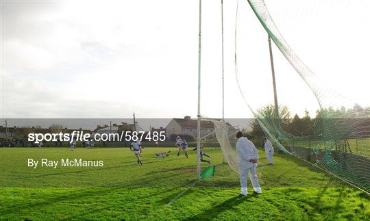 Laois v Dublin Institute of Technology - Bord na Mona Walsh Cup