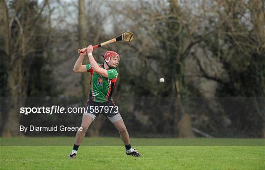 Tipperary v Limerick Institute of Technology - Waterford Crystal Cup Senior Hurling Preliminary Round