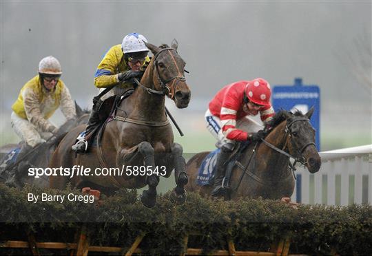 Horse Racing from Leopardstown - Sunday 29th January