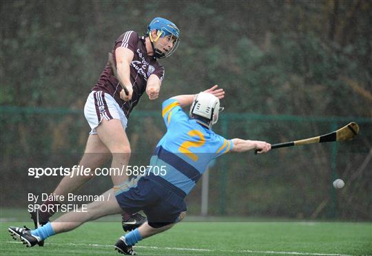 University College Dublin v Galway - Bord na Mona Walsh Cup