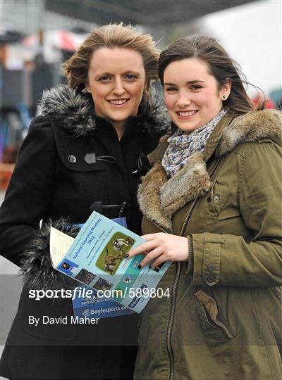 Irish National Coursing Meeting 2012 - Monday 30th January