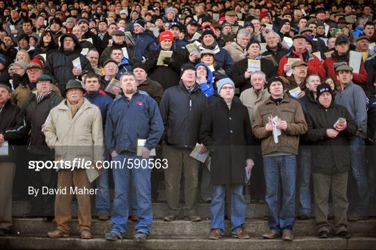 Irish National Coursing Meeting 2012 - Wednesday 1st January