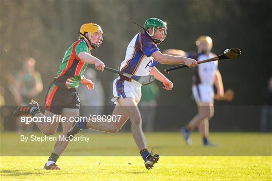 University of Limerick v Limerick Institute of Technology - Irish Daily Mail Fitzgibbon Cup Group C Round 1