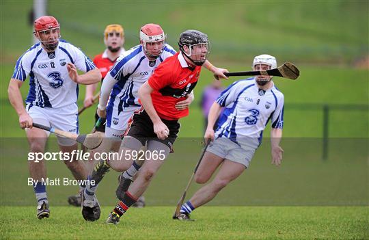 Waterford v UCC - Waterford Crystal Cup Hurling Quarter-Final