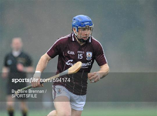 University College Dublin v Galway - Bord na Mona Walsh Cup