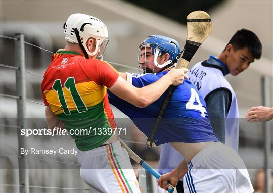 Laois v Carlow - GAA Hurling All-Ireland Senior Championship Preliminary Round