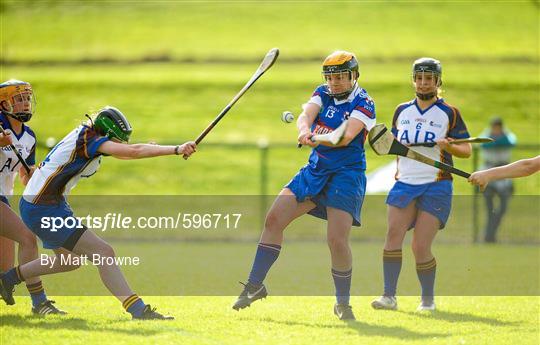 University of Limerick v Waterford Institute of Technology - 2012 Ashbourne Cup Final