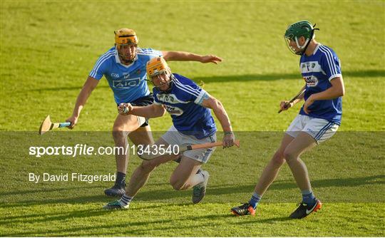 Dublin v Laois - GAA Hurling All-Ireland Senior Championship Round 1