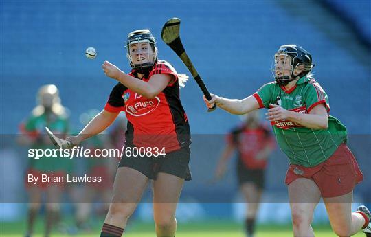 Drom/Inch, Tipperary v Oulart-the-Ballagh, Wexford - All Ireland Senior Camogie Club Championship Final 2011