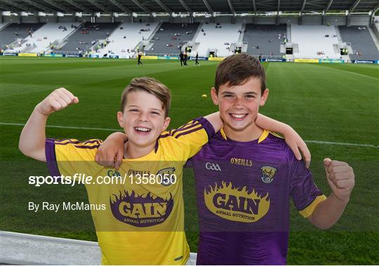 Wexford v Waterford - GAA Hurling All-Ireland Senior Championship Quarter-Final