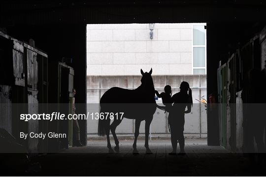 Dublin Horse Show previews
