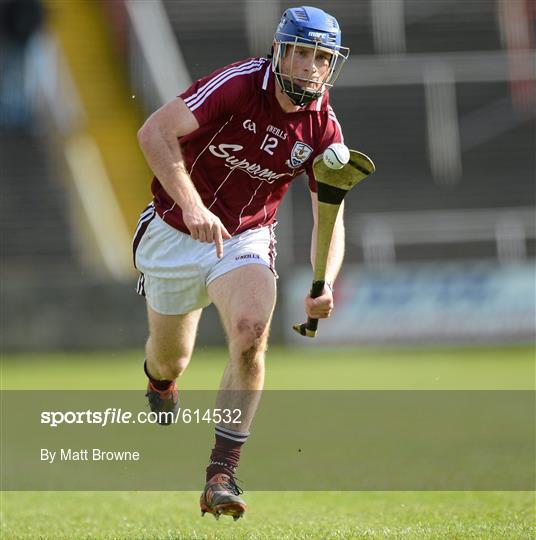 Galway v Dublin - Allianz Hurling League Division 1A Relegation Play-off