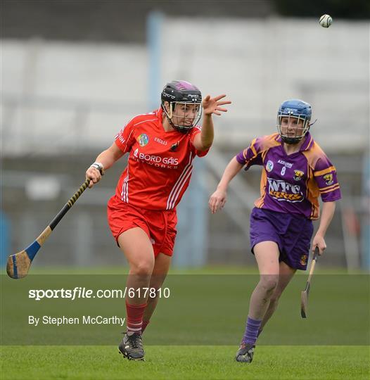 Cork v Wexford - National Camogie League Division 1 Final