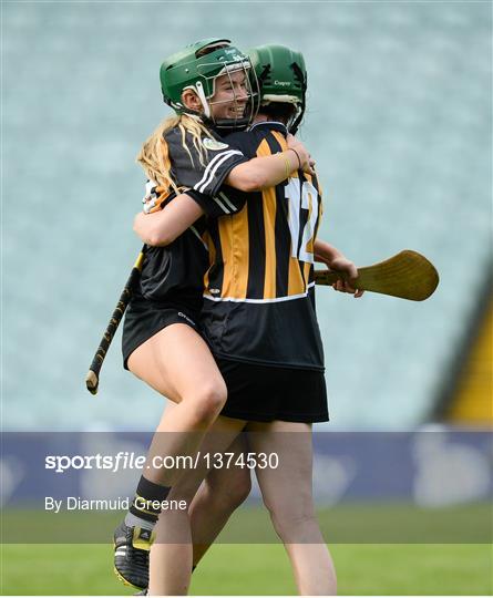 Dublin v Kilkenny - All-Ireland Senior Camogie Championship Semi-Final Dublin v Kilkenny - All-Ireland Senior Camogie Championship Semi-Final