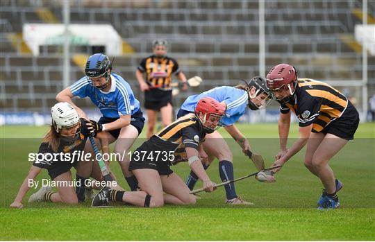 Dublin v Kilkenny - All-Ireland Senior Camogie Championship Semi-Final