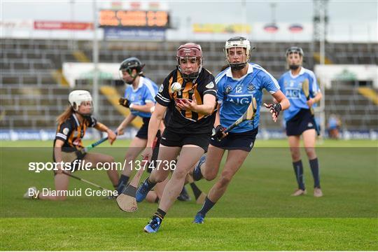 Dublin v Kilkenny - All-Ireland Senior Camogie Championship Semi-Final Dublin v Kilkenny - All-Ireland Senior Camogie Championship Semi-Final