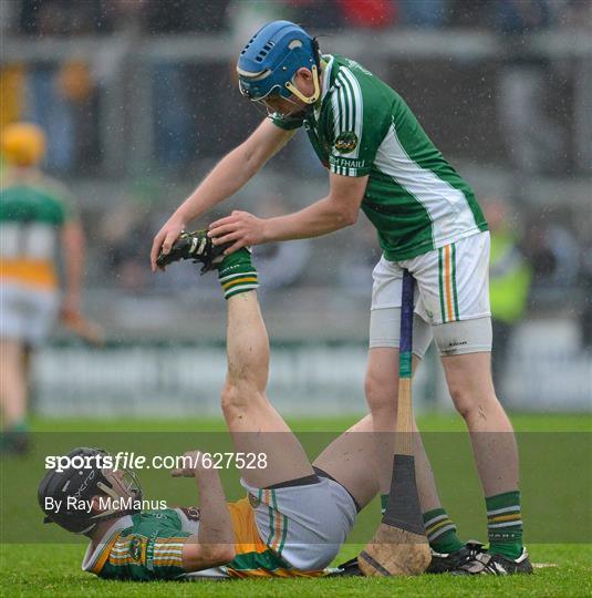 Offaly v Wexford - Leinster GAA Hurling Senior Championship Quarter-Final