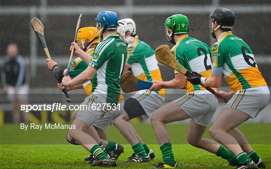 Offaly v Wexford - Leinster GAA Hurling Senior Championship Quarter-Final