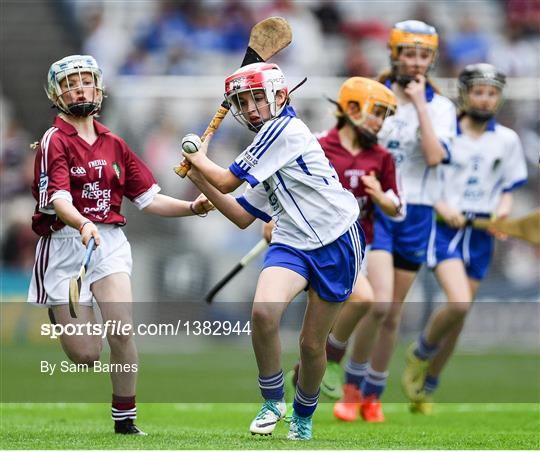 INTO Cumann na mBunscol GAA Respect Exhibition Go Games at Galway v Waterford - GAA Hurling All-Ireland Senior Championship Final