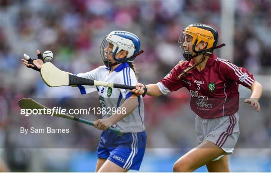 INTO Cumann na mBunscol GAA Respect Exhibition Go Games at Galway v Waterford - GAA Hurling All-Ireland Senior Championship Final INTO Cumann na mBunscol GAA Respect Exhibition Go Games at Galway v Waterford - GAA Hurling All-Ireland Senior Championship Final