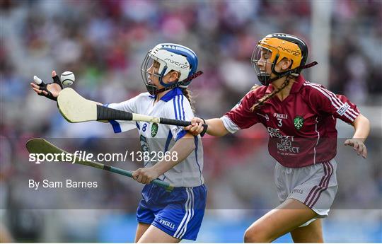 INTO Cumann na mBunscol GAA Respect Exhibition Go Games at Galway v Waterford - GAA Hurling All-Ireland Senior Championship Final