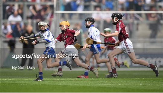 INTO Cumann na mBunscol GAA Respect Exhibition Go Games at Galway v Waterford - GAA Hurling All-Ireland Senior Championship Final