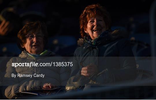 Fans at Leinster v Cardiff Blues - Guinness PRO14 Round 2