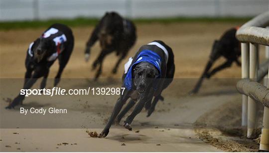 Boylesports Irish Greyhound Derby