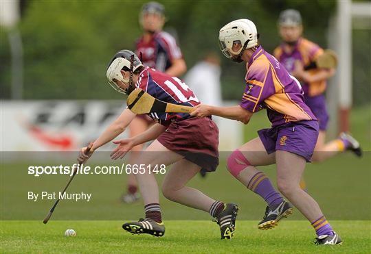 Galway v Wexford - All-Ireland Senior Camogie Championship Round Four, in association with RTÉ Sport