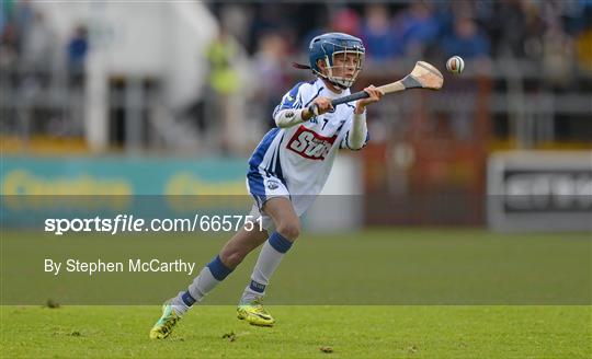 Primary Go-games during Waterford v Tipperary - Munster GAA Hurling Senior Championship Final