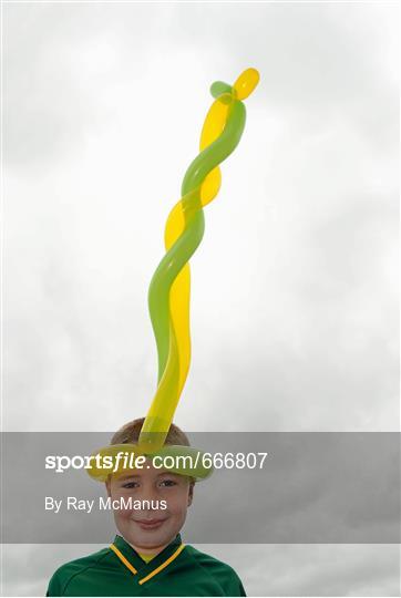 Dublin v Meath - Leinster GAA Football Senior Championship Final Dublin v Meath - Leinster GAA Football Senior Championship Final