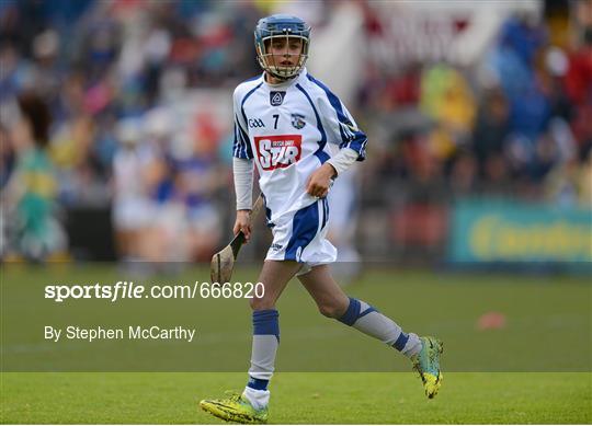 Primary Go-games during Waterford v Tipperary - Munster GAA Hurling Senior Championship Final