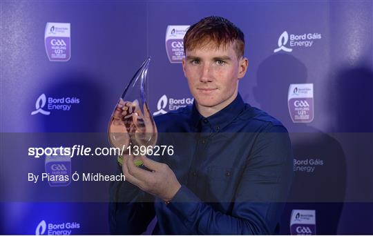 Bord Gáis Energy U-21 Hurling Team of the Year Bord Gáis Energy U-21 Hurling Team of the Year