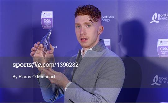 Bord Gáis Energy U-21 Hurling Team of the Year Bord Gáis Energy U-21 Hurling Team of the Year