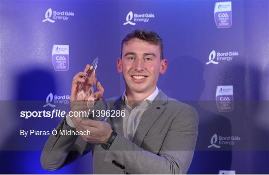 Bord Gáis Energy U-21 Hurling Team of the Year Bord Gáis Energy U-21 Hurling Team of the Year