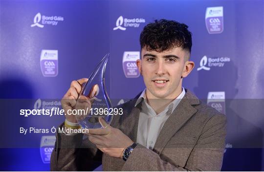 Bord Gáis Energy U-21 Hurling Team of the Year Bord Gáis Energy U-21 Hurling Team of the Year