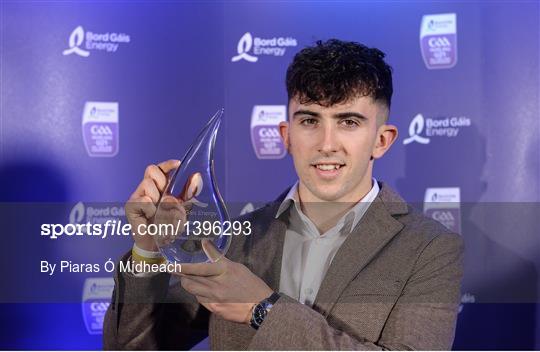 Bord Gáis Energy U-21 Hurling Team of the Year