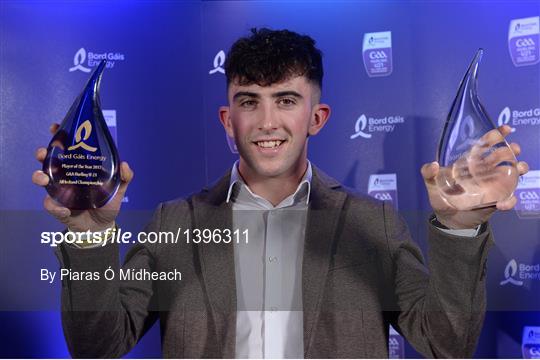 Bord Gáis Energy U-21 Hurling Team of the Year