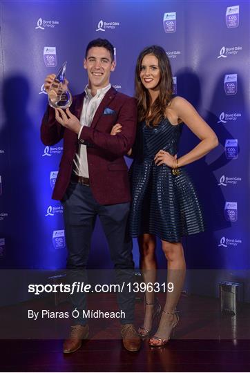 Bord Gáis Energy U-21 Hurling Team of the Year Bord Gáis Energy U-21 Hurling Team of the Year