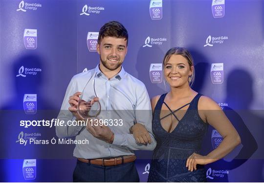 Bord Gáis Energy U-21 Hurling Team of the Year