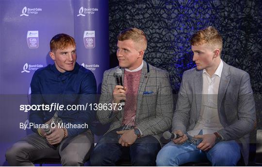 Bord Gáis Energy U-21 Hurling Team of the Year Bord Gáis Energy U-21 Hurling Team of the Year