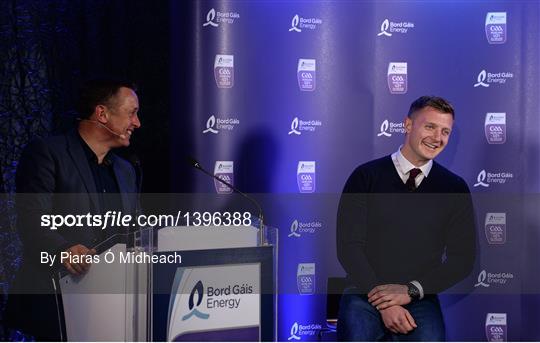 Bord Gáis Energy U-21 Hurling Team of the Year Bord Gáis Energy U-21 Hurling Team of the Year