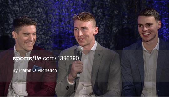 Bord Gáis Energy U-21 Hurling Team of the Year Bord Gáis Energy U-21 Hurling Team of the Year