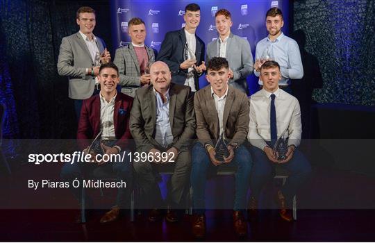 Bord Gáis Energy U-21 Hurling Team of the Year