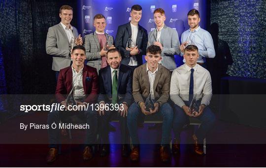 Bord Gáis Energy U-21 Hurling Team of the Year