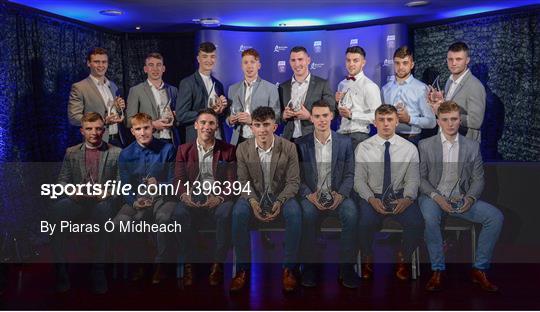 Bord Gáis Energy U-21 Hurling Team of the Year