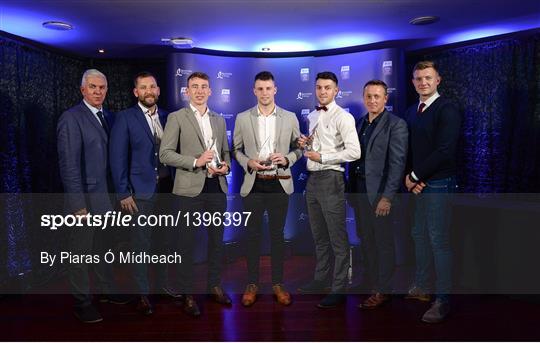 Bord Gáis Energy U-21 Hurling Team of the Year